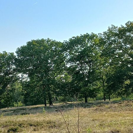 Vogelzang Βίλα Hattemerbroek Δωμάτιο φωτογραφία