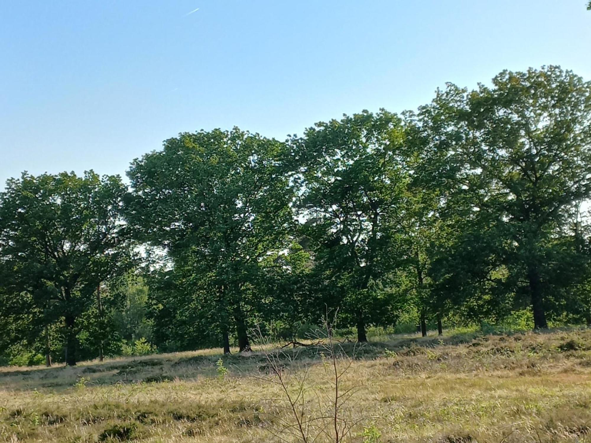 Vogelzang Βίλα Hattemerbroek Δωμάτιο φωτογραφία